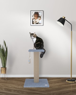 Pıtır 75 cm Kalın Sütunlu XL Kedi Tırmalama Direği - GRİ